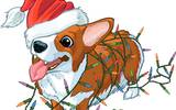 Corgi-christmas